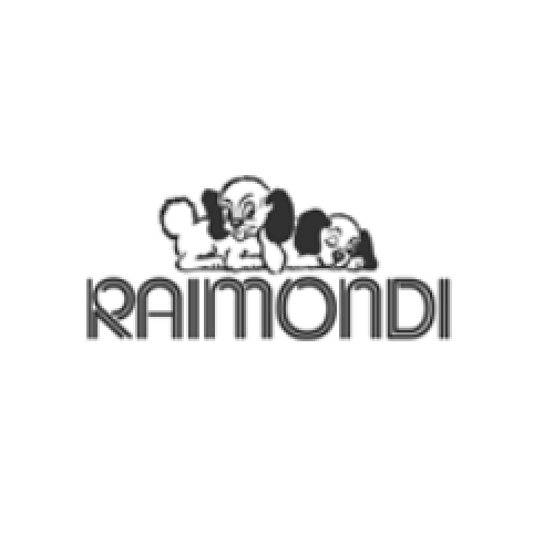 Raimondi Spa